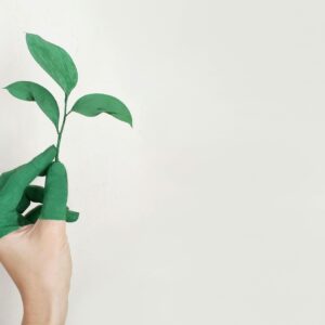 Reklama a greenwashing